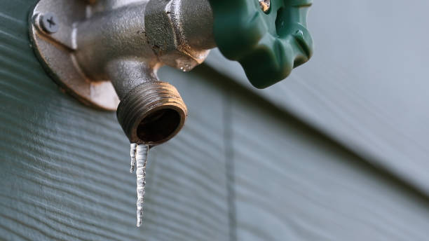 Best Clogged Drain Plumber  in Jekyll Island, GA